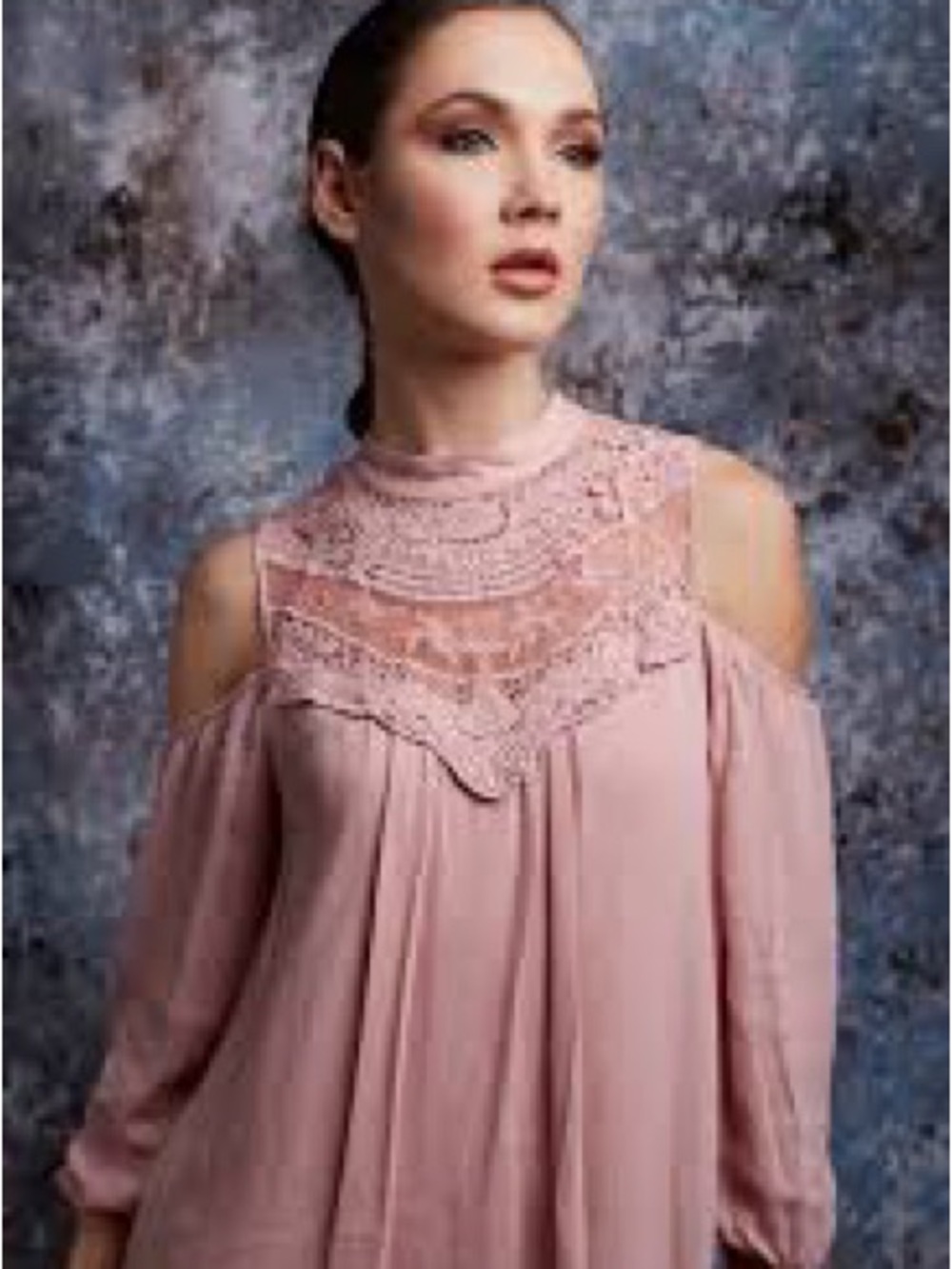 Blush Cold-Shoulder Lace Yoke Mini Dress